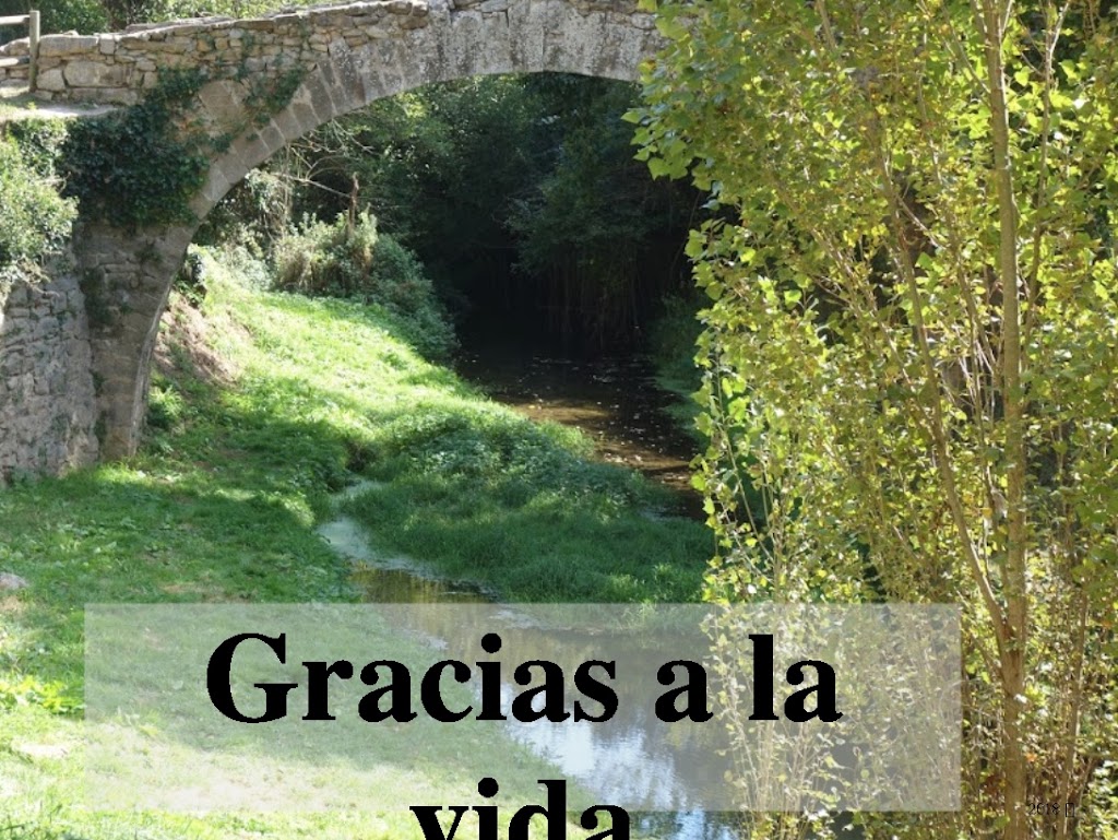 Gracias a la vida (Violeta Parra)