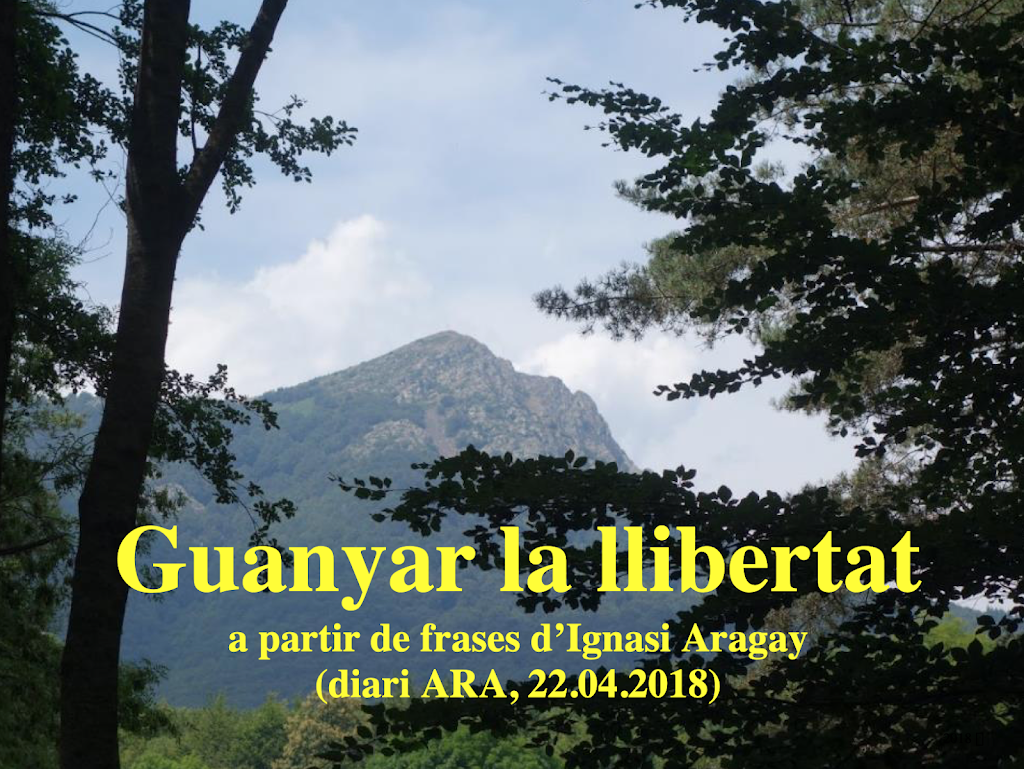 Guanyar la llibertat (Ignasi Aragay)