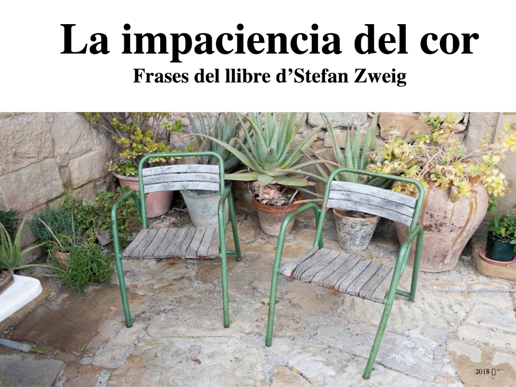 La impaciència del cor (Stefan Zweig)
