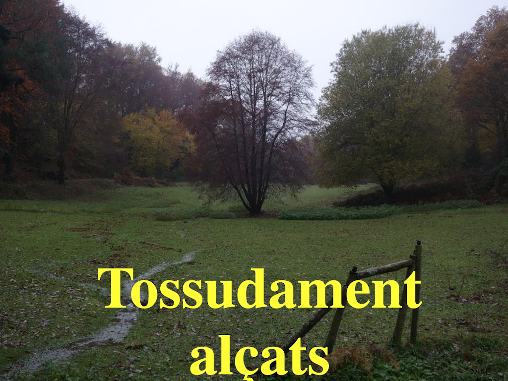 Tossudament alçats (Lluís Llach)