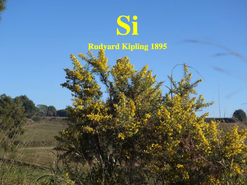 Si (Rudyard Kipling)